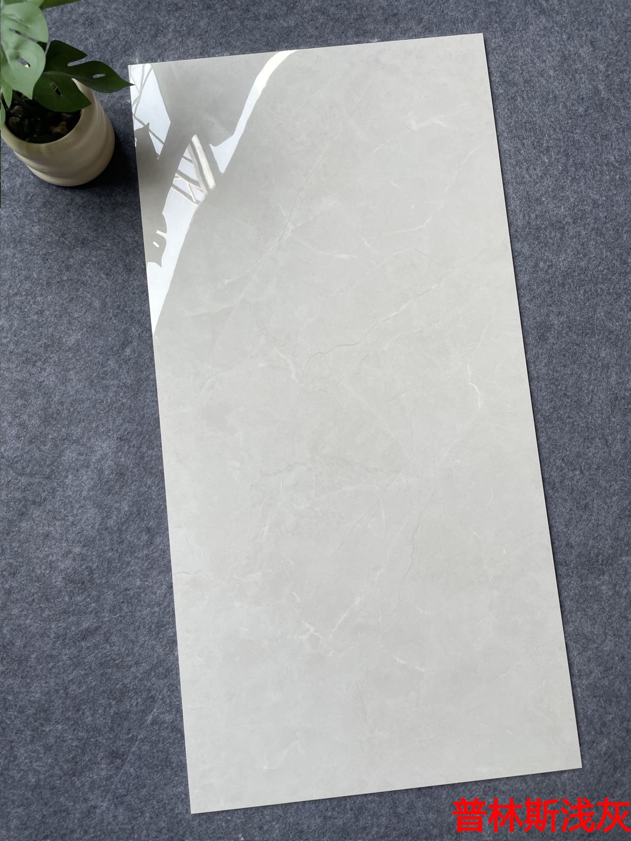 亮光 通体大理石 GTL481085普林斯浅灰 一石五面 自由连纹 亮光通体中板